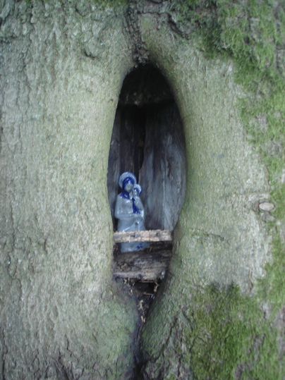 Kleine Marienstatue in einer Baumhöhle.