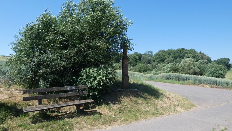 Eine Holzbank steht neben einem Baum an einem ländlichen Weg, umgeben von grüner Vegetation und unter einem klaren blauen Himmel.