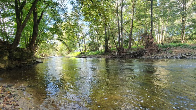 Ein ruhiger Fluss fließt durch einen bewaldeten Bereich mit Bäumen am Ufer.