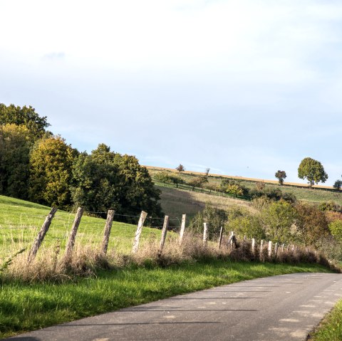 Bitburger LandGang Oberweis(C)TI Bitburger Land_MM (28), &copy; TI Bitburger Land