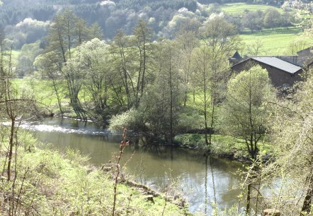 View of the Kyll, © R. Schaal