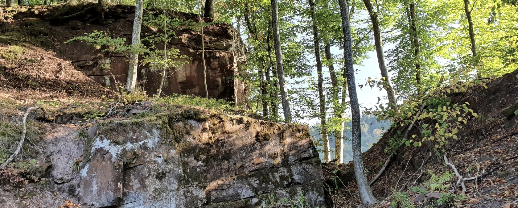 Ein Wald mit großen Felsen und Bäumen, die von Sonnenlicht beleuchtet werden. Der Boden ist mit Laub bedeckt., © Tourist-Info Bitburger Land