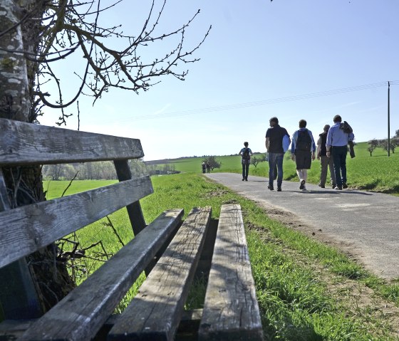 Eine Gruppe von Menschen wandert auf einem ländlichen Weg. Im Vordergrund steht eine alte Holzbank neben einem Baum., © TI Bitburger Land