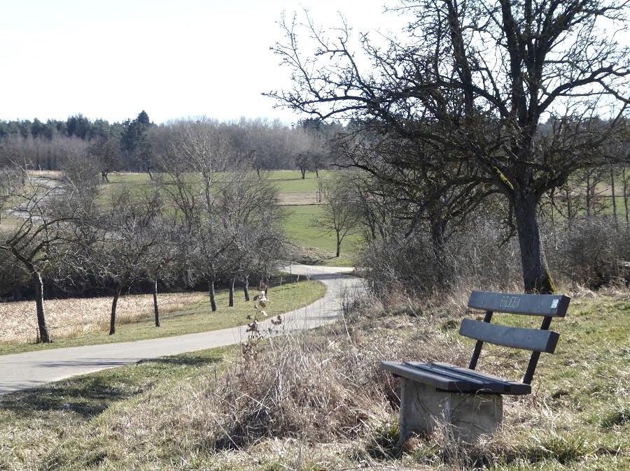 Un banc se trouve au bord du chemin, avec vue sur un paysage rural. Un sentier sinueux traverse des champs et des arbres., &copy; Eifelverein Ortsgruppe Speicher