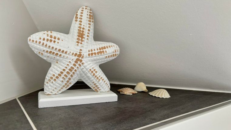 Une étoile décorative en céramique se trouve sur un plateau. À côté, se trouvent quelques petites coquillages.