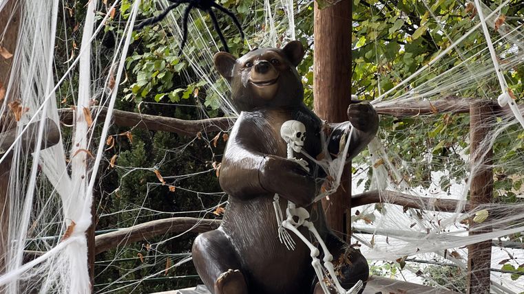 A decorative bear with a skeletal hand sits and holds a skeleton. Cobwebs and a large spider surround the scene, creating a spooky atmosphere.