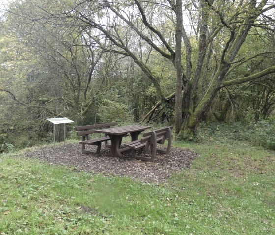 Ein Rastplatz im Wald mit Holztisch und Bänken, umgeben von Bäumen und einer Infotafel., © TI Bitburger Land