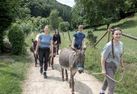 NENGSHOF_Eselwanderung&copy;Nengshof (2), &copy; Nengshof