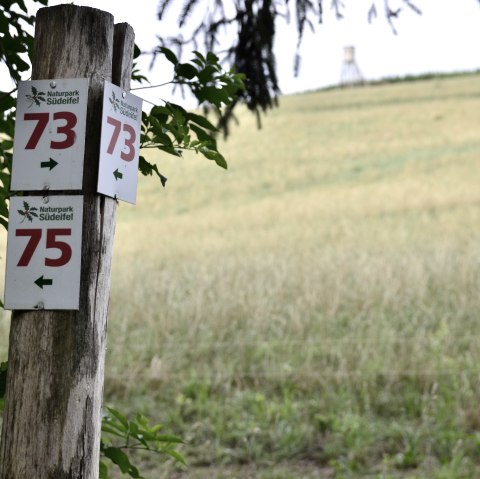 Wegweiser im Naturpark Südeifel zeigt die Nummern 73 und 75. Im Hintergrund ist ein Feld und ein Hochsitz zu sehen., © TI Bitburger Land