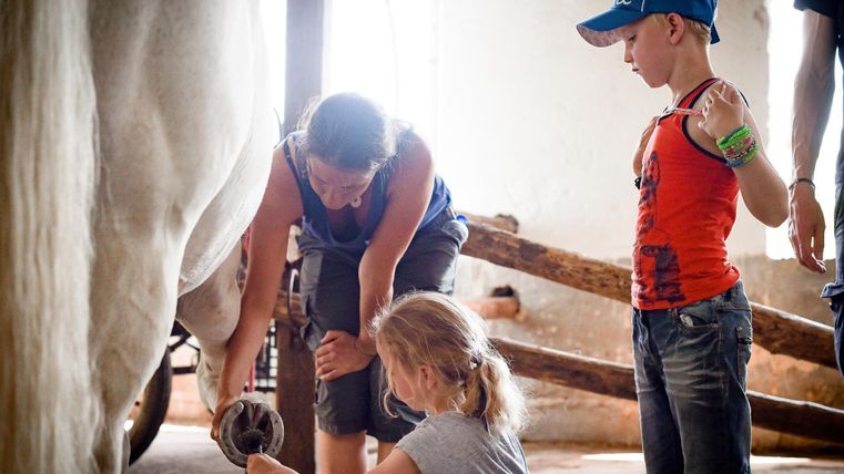 Eine Frau zeigt Kindern, wie man ein Pferd betreut. Die Kinder sind neugierig und lernen aktiv.