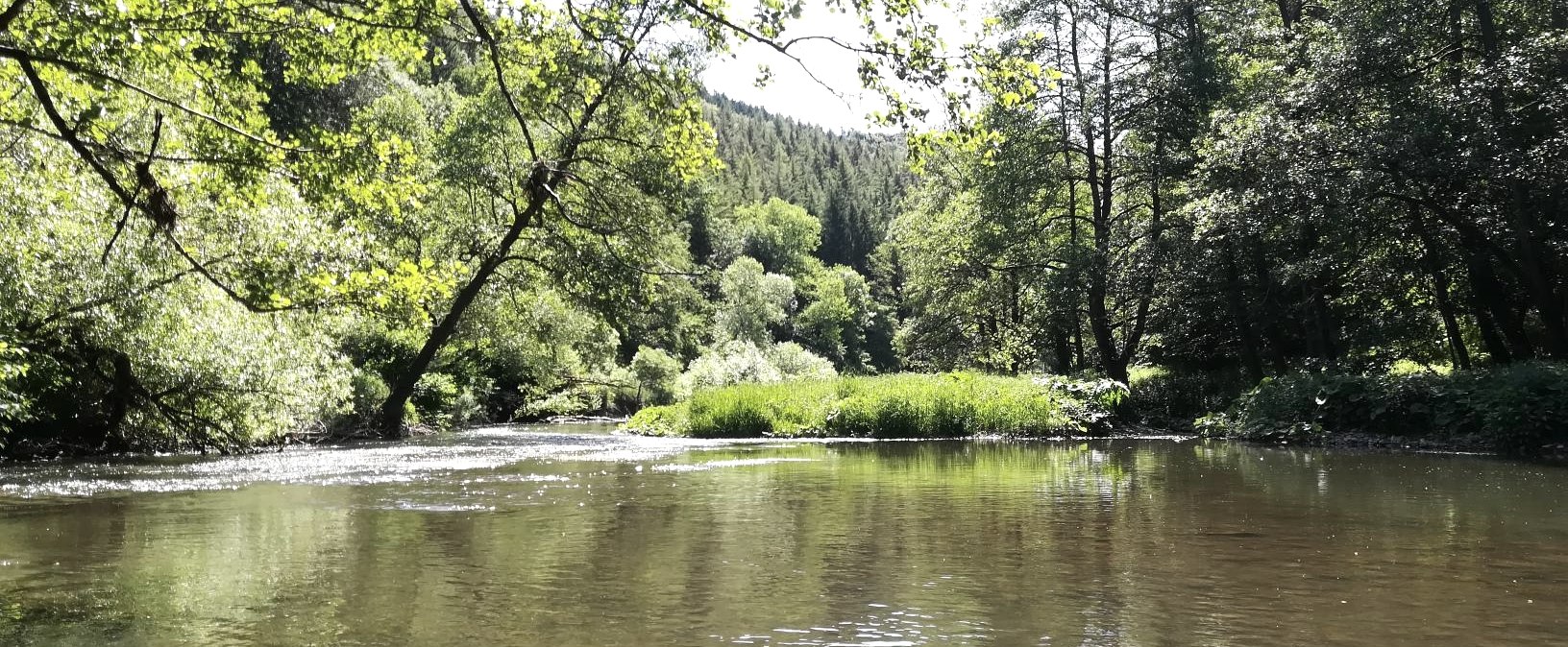 Kyll bei Fließem, © Marc Leinen