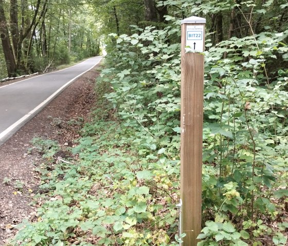 Un poteau en bois avec un panneau 'BIT22' se trouve au bord d'un chemin asphalté dans la forêt. Le chemin traverse une forêt dense et verdoyante., © TI Bitburger Land