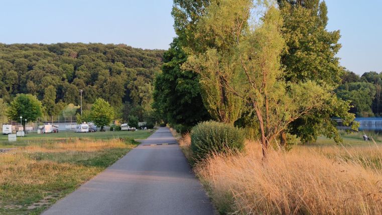 Un chemin calme traverse un paysage verdoyant avec des arbres et des herbes hautes. Sur le côté gauche, on peut voir quelques camping-cars.