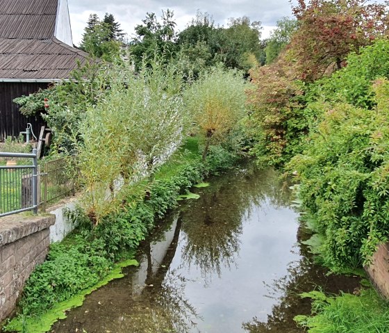 Een klein beekje stroomt tussen weelderig groen en een oud gebouw met een houten dak. Een hek loopt langs het water., © TI Bitburger Land - Steffi Wagner