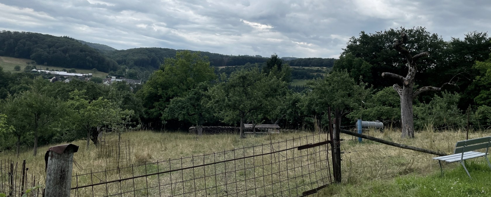 View of a green meadow with a gate, surrounded by trees and hills under a cloudy sky., © Daniel Köhler