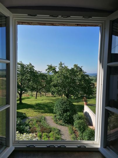 Un regard par une fenêtre sur un jardin verdoyant avec des arbres et un ciel bleu. La scène dégage calme et connexion à la nature.
