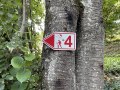 Ein rotes Wanderschild mit der Nummer 4 ist an einem Baum im Wald befestigt. Es zeigt einen Wanderer mit Stock., © André Szybalsky