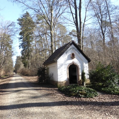 Eine kleine Kapelle steht am Waldrand neben einem Schotterweg. Die Umgebung ist von Bäumen gesäumt, die Blätter auf dem Boden liegen., © Eifelverein Ortsgruppe Speicher