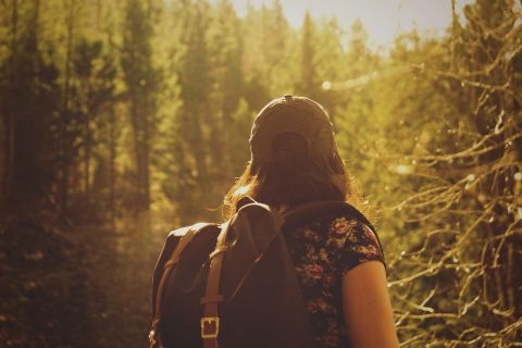 Eine Person mit einem Rucksack steht im Wald und schaut auf den sonnigen Weg. Die Bäume umgeben die Szene und schaffen eine ruhige Atmosphäre.