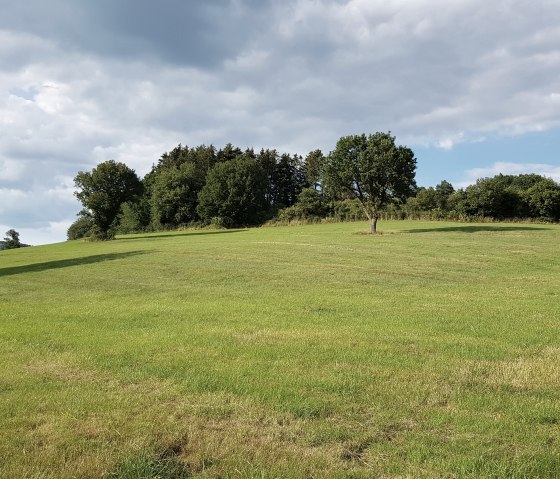 Wandeling bij Niederprüm over de Mehlenbach, © Tourist-Information Prümer Land Sebastian Wiesen