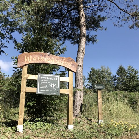 Holztafel mit der Aufschrift 'Waldlehrpfad' und Infotafel, umgeben von Bäumen und Wiese unter blauem Himmel., © TI Bitburger Land