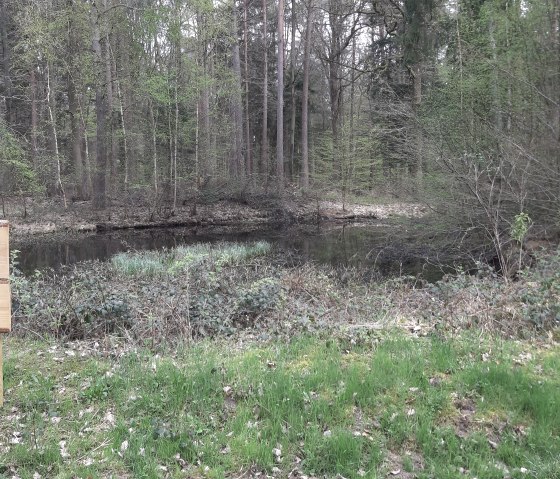 Orenhofen biotope, &copy; M. M&uuml;ller-Metzen