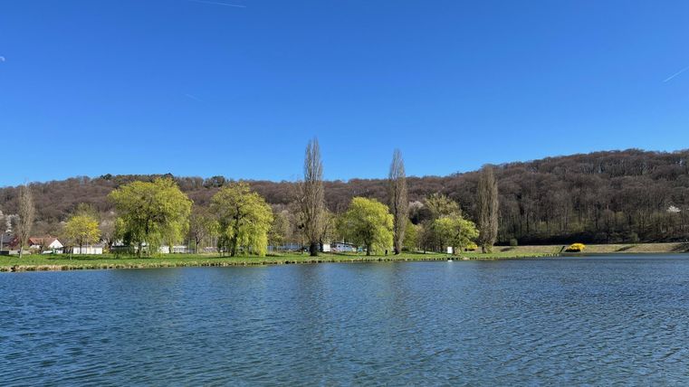 Un lac paisible entouré d'arbres verts et de collines douces. Le ciel est clair et bleu, idéal pour une journée détendue en pleine nature.