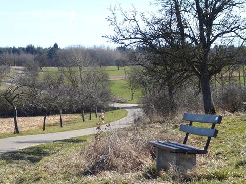 Eine Bank am Wegesrand mit Blick auf eine ländliche Landschaft und einen gewundenen Pfad.