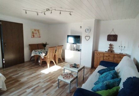 Wohnzimmer mit Schlafcouch, Essecke  u. Fernseher