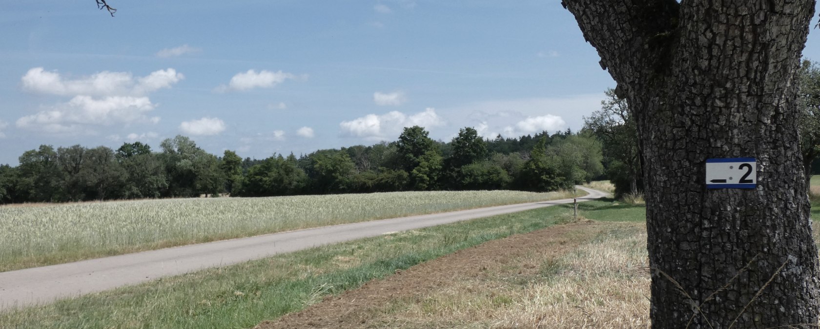 Ländliche Landschaft mit einem Feldweg, umgeben von Wiesen und Bäumen. Ein Baum im Vordergrund trägt ein Schild mit der Nummer 2., © TI Bitburger Land