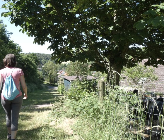 The Bitburger LandGang leads around the village., © TI Bitburger Land