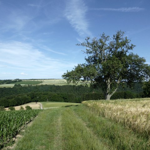 Een droomplek om te picknicken en te genieten, © NaturAktivErleben