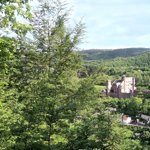 Schloss Hamm thront malerisch inmitten grüner Wälder und Hügel, umgeben von üppiger Vegetation und einem klaren Himmel., © TI Bitburger Land