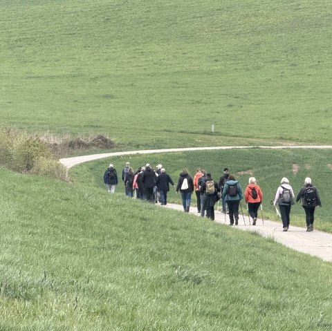 Singlewanderung, &copy; Frank Niesen