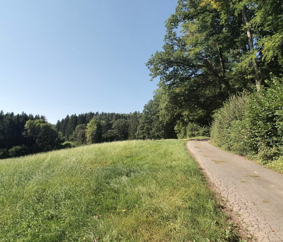 Ein schmaler Weg verläuft entlang eines Waldrandes, umgeben von grünen Wiesen und Bäumen. Der Himmel ist klar und blau., © Tourist-Information Bitburger Land