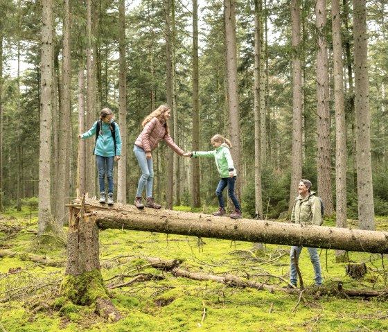Über Bäume balancieren auf dem Märchenpfad Bollendorf, © Eifel Tourismus GmbH, Dominik Ketz