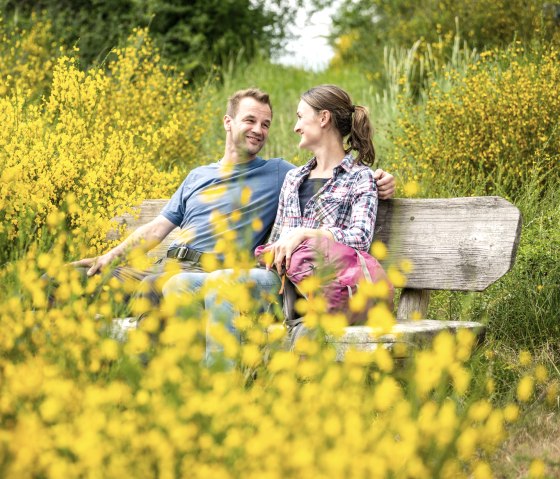 Een koppel zit glimlachend op een houten bankje, omringd door bloeiende gele brem in een groen landschap., © Eifel Tourismus GmbH, Dominik Ketz