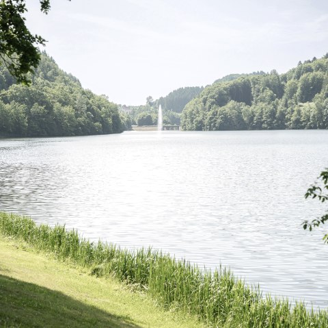 Teamverstärkung