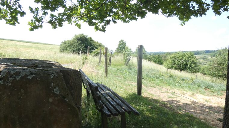 Eine Bank im Schatten eines Baumes mit Blick auf eine grüne Wiese und einen Zaun.