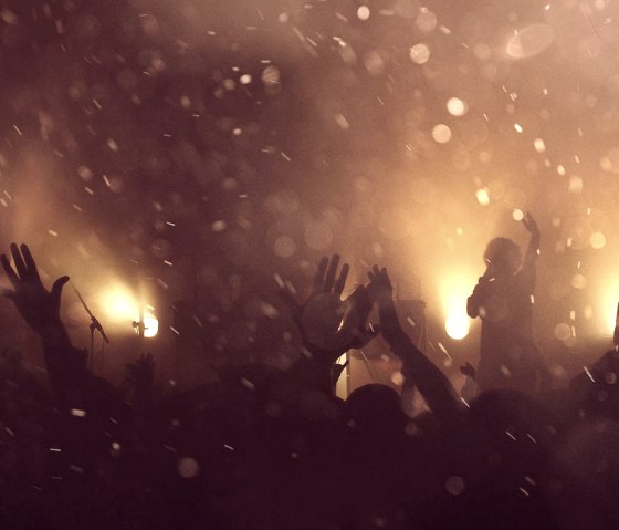 Menschen auf einem Konzert, © Pixabay