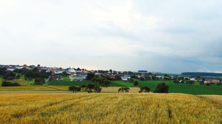 Landschaft mit Getreidefeld und Dorf im Hintergrund unter bewölktem Himmel.