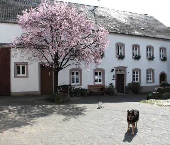Bauernhaus, © Norbert Heck Halsdorf