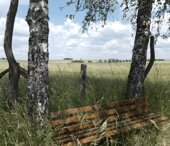 Banc en bois entre des bouleaux dans une prairie, avec vue sur de vastes champs et un ciel nuageux. Un endroit calme et rural pr&egrave;s de Gransdorf., &copy; TI Bitburger Land