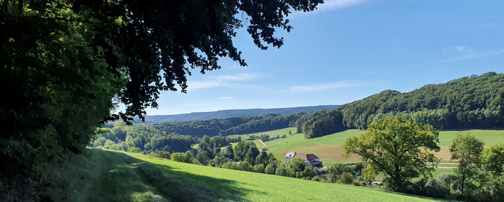 Vue panoramique de la vallée de l'Enz avec des prairies vertes, des forêts et une ferme sous un ciel bleu. Ombre d'arbres au premier plan., © TI BItburger Land - Steffi Wagner