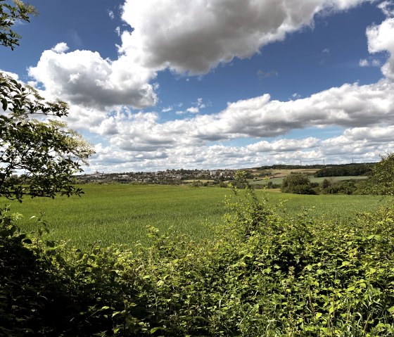 Grüne Felder und Büsche unter einem bewölkten Himmel, im Hintergrund eine Stadtlandschaft. Blick von der RWE-Route., © TI Bitburger Land