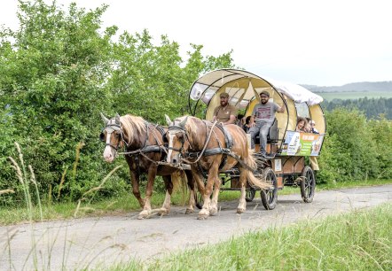 Planwagenfahrt Nengshof, © Carsten Lenz, Nengshof