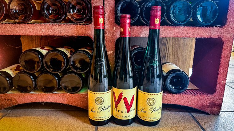 Drei Flaschen Wein stehen vor einem Regal mit weiteren Weinflaschen. Die Etiketten der Flaschen sind farbenfroh und ansprechend gestaltet.