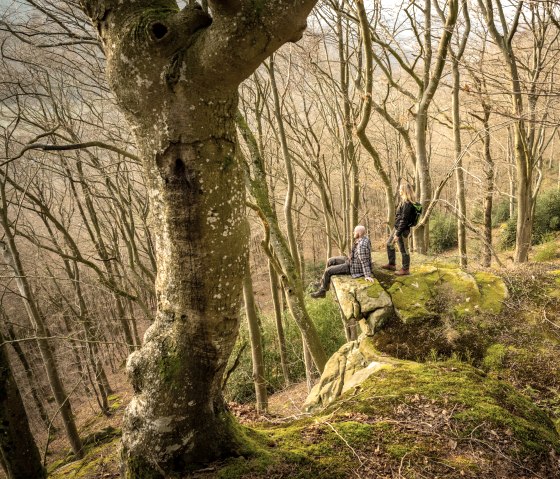 Twee mensen staan en zitten op een met mos bedekte rots in een kaal bos. De bomen zijn hoog en dicht, zonder gebladerte., © Eifel Tourismus GmbH, D. Ketz