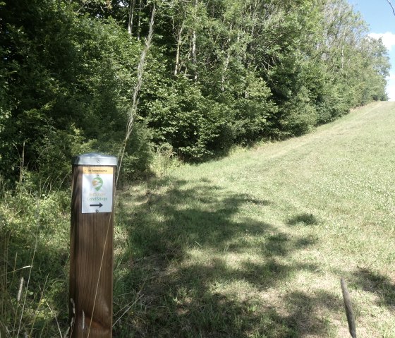 A signpost for the Bitburger LandGänge in the Kannenbach valley, surrounded by green meadows and trees under a blue sky., © Tourist-Information Bitburger Land
