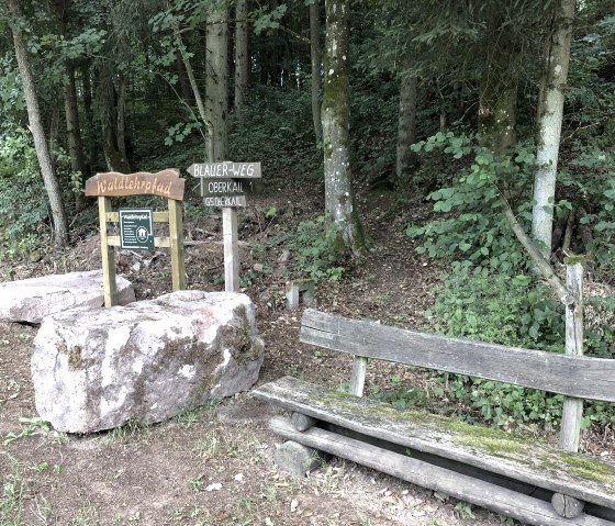 A wooden bench stands at the edge of the forest next to signs indicating the forest nature trail and the Blue Trail in Oberkail., © TI Bitburger Land